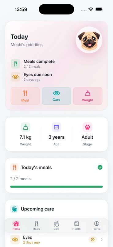 Pugify dashboard showing meals, care reminders and health priorities for Mochi